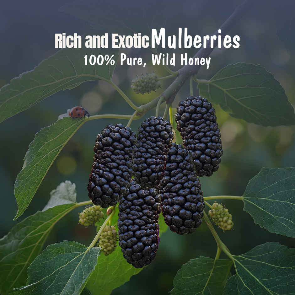 Eatopia Healthy Mulberry Honey Jam (No Refined Sugar & Preservatives )