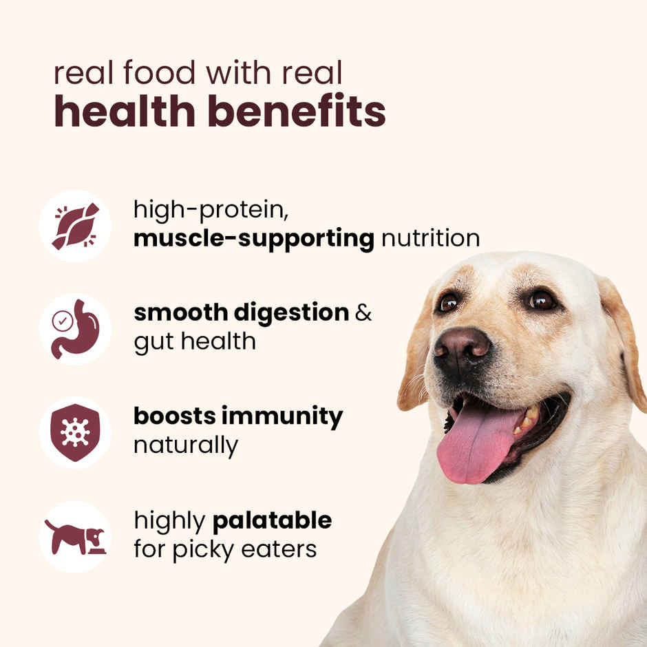 Nibblr By Nootie Fresh Chicken Biryani Wholesome Meal | Chicken Liver & Rice Dog Wet Food 300gm