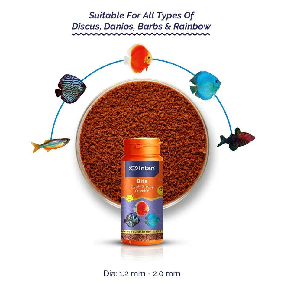 Intan Bits - Fish FOOD for All - Discus | Danios | Barbs | Rainbow