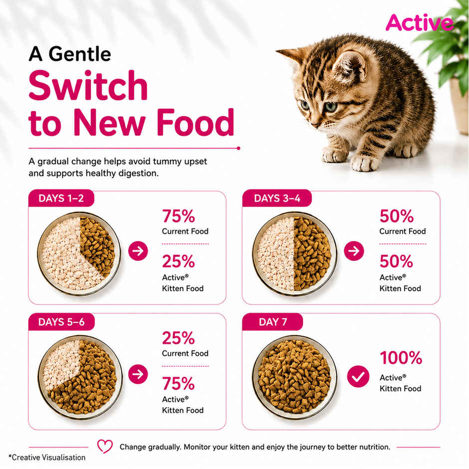Active Ocean Fish Dry Kitten Cat Food | Buy 1 Get 1 Free