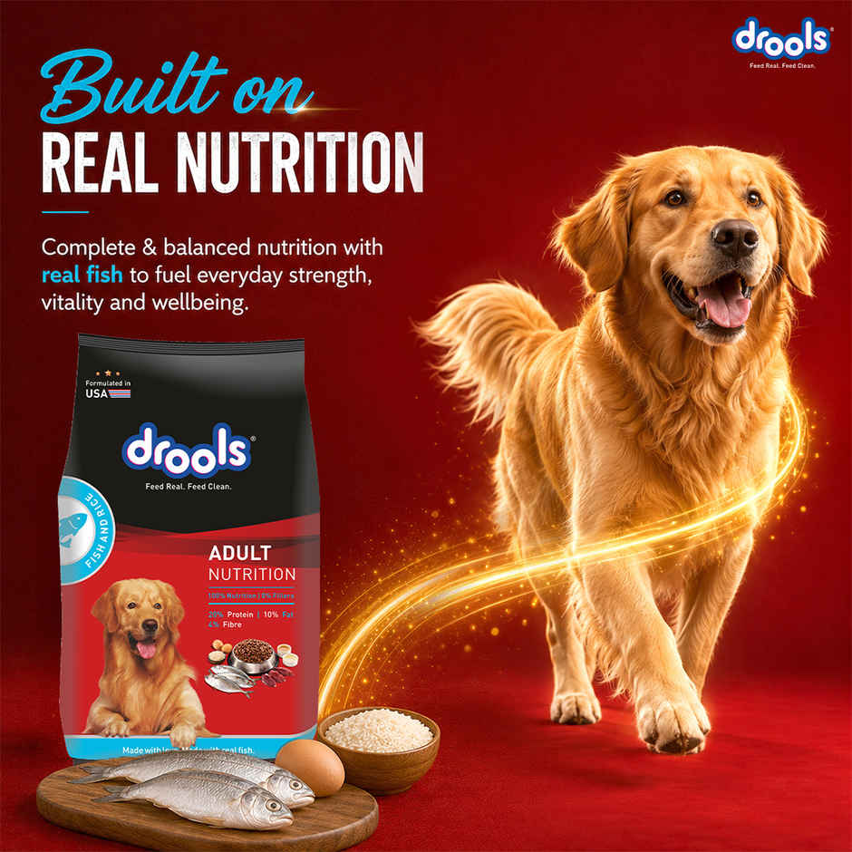 Drools Fish and Rice Adult Dry Dog Food 1 kg