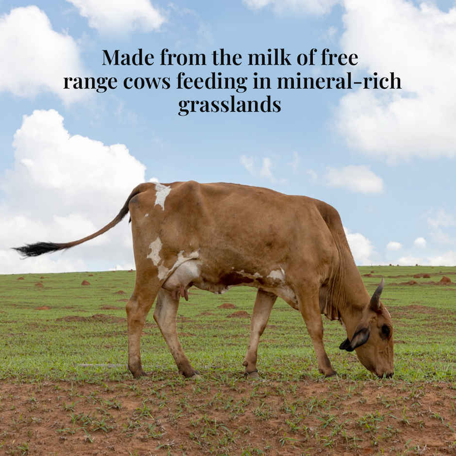 Himalayan Natives Cow Ghee Original | Jar