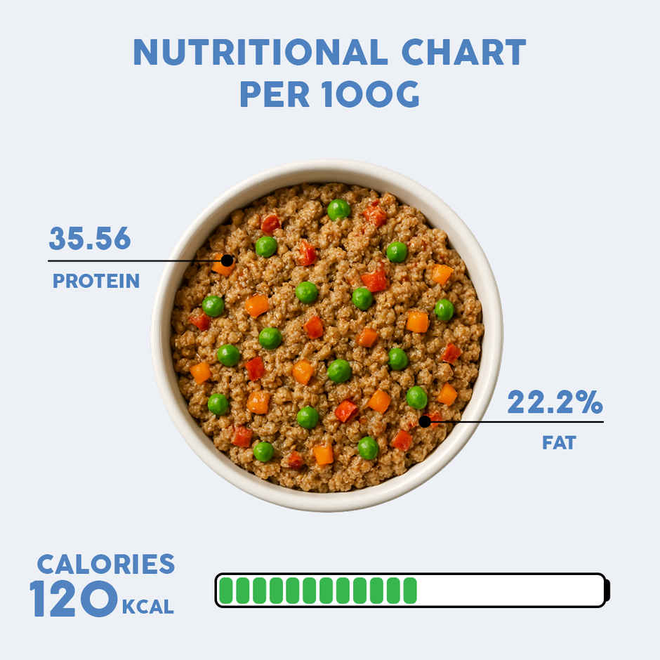 Benny's Bowl Clinical Nutrition for Weight Reduction (Wet Dog Food)