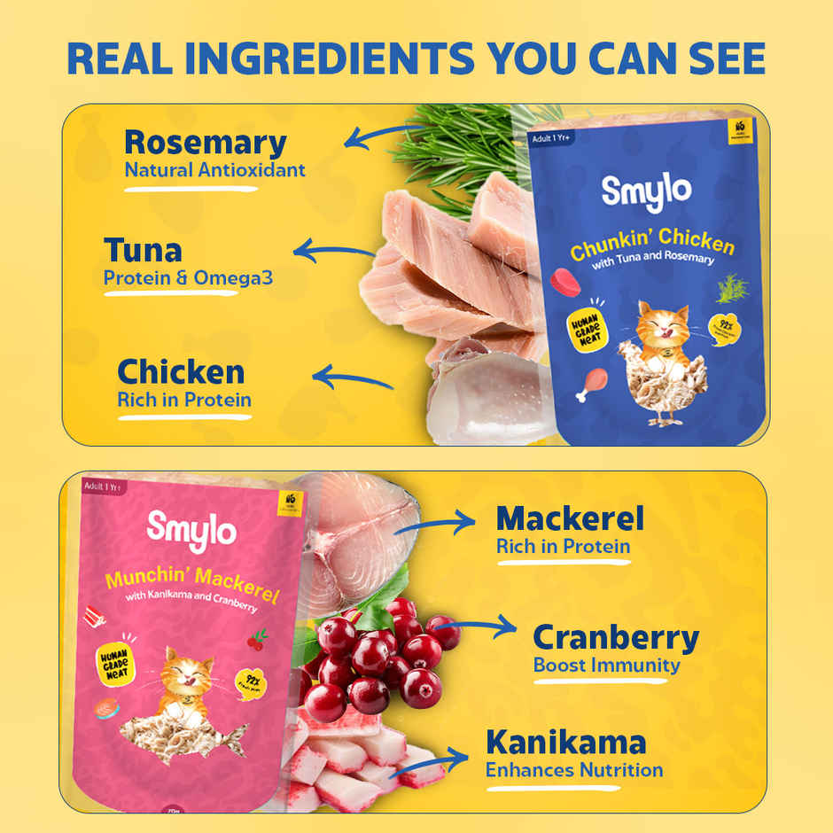 Smylo Adult Wet Cat Food Variety Combo | Chicken, Tuna & Mackerel, Fresh and Preservative Free