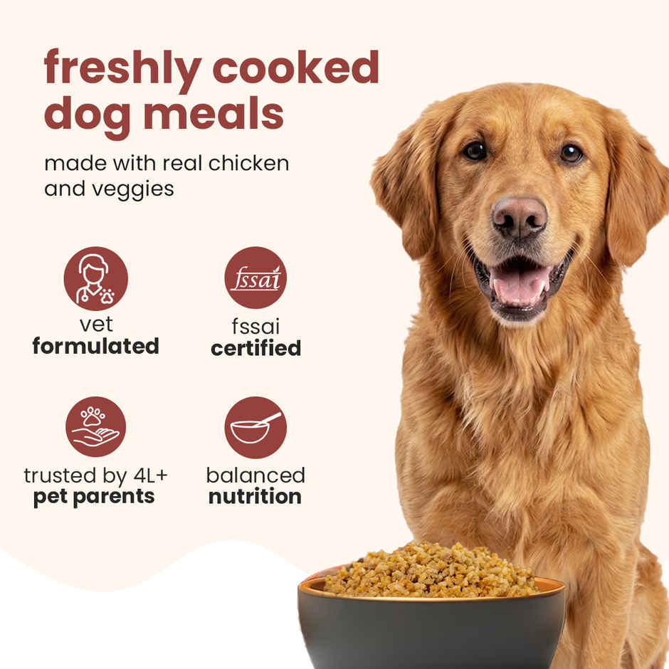 Nibblr By Nootie Fresh Chicken Pulao Wholesome Meal | Chicken Rice & Veggies Dog Wet Food 300gm