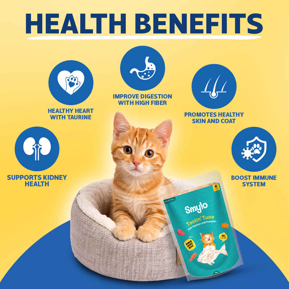 Smylo Adult Wet Cat Food Variety Combo | Chicken, Tuna & Mackerel, Fresh and Preservative Free