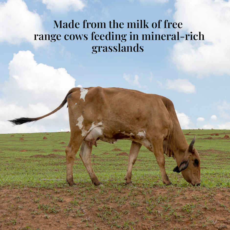 Himalayan Natives Cow Ghee Original | Jar