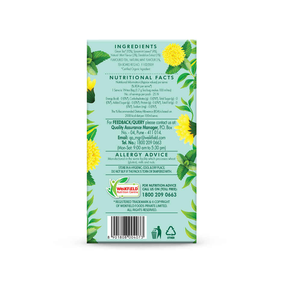 Eco Valley Organic Green Tea- Dandelion Mint| Boost Energy, Helps Burn Body Fat| Zero Calories