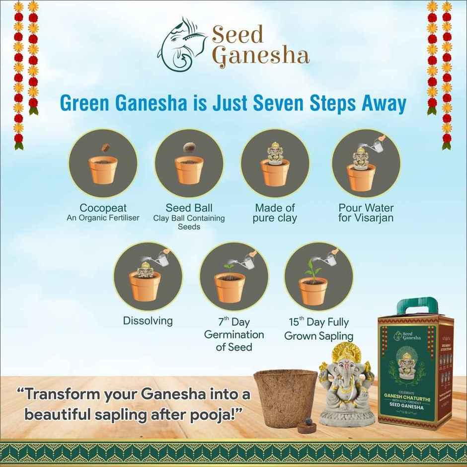 Eco-Friendly | Seed Ganesha Idol | Right Trunk | 8 inch | Dealberg