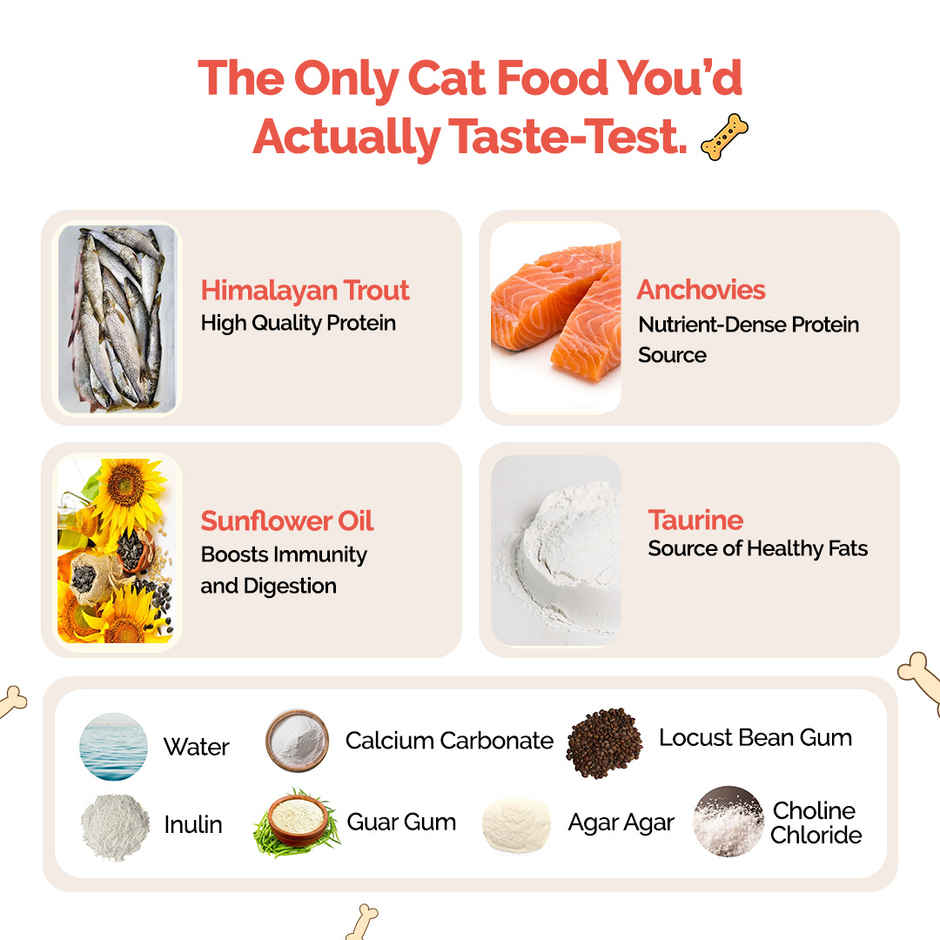 Goofy Tails Himalayan Trout & Anchovies Cat and Kitten Meals | Cat and Kitten Wet Food