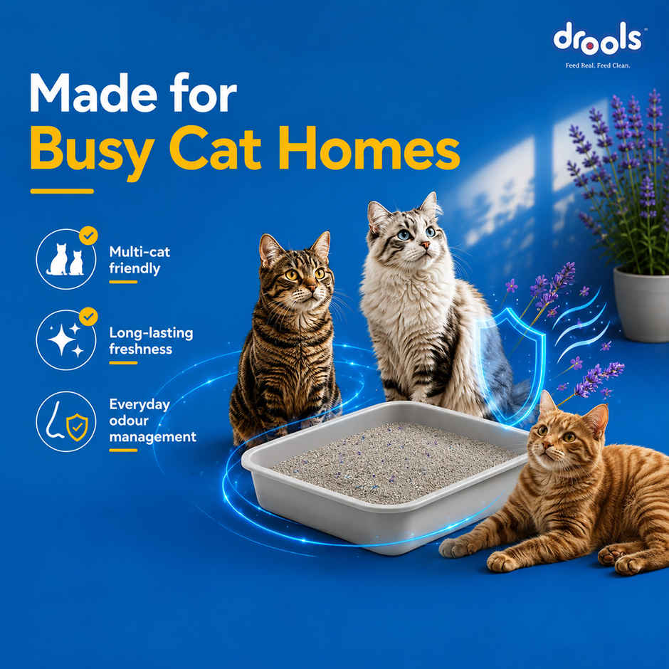 Drools Clumping Lavender Fragrance Pet Cat Litter (For Multiple Cats)