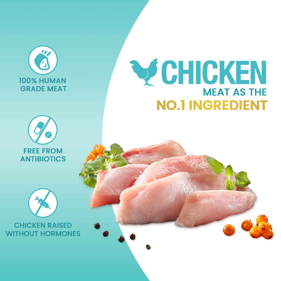 Jerhigh Panna Cotta Chicken With Pumpkin Mousse|Dog Wet Food