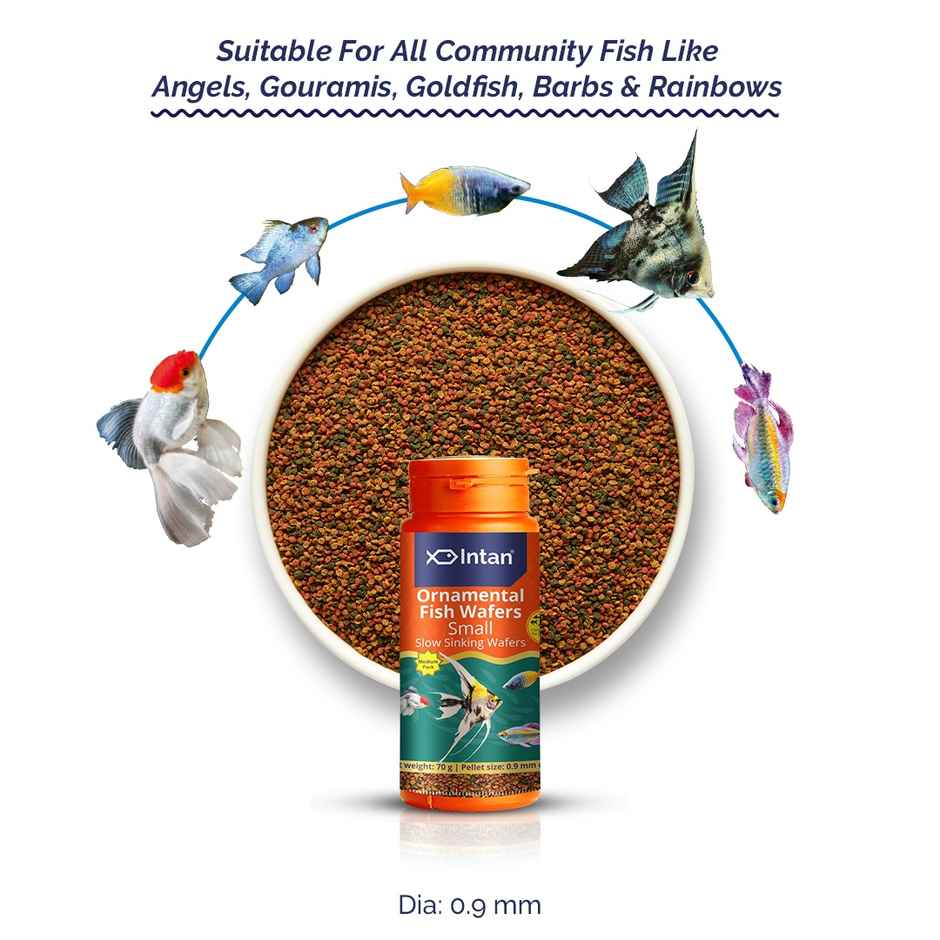 Intan Ornamental Fish Wafers - Fish FOOD for Angels | Gouramis | Goldfish | Barbs | Rainbows
