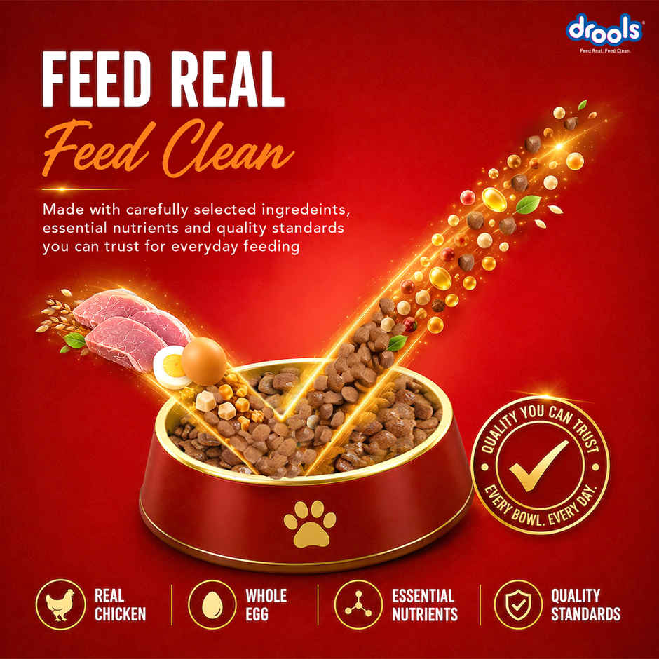 Drools Turkey and Pumpkin Adult Dry Dog Food 1 kg