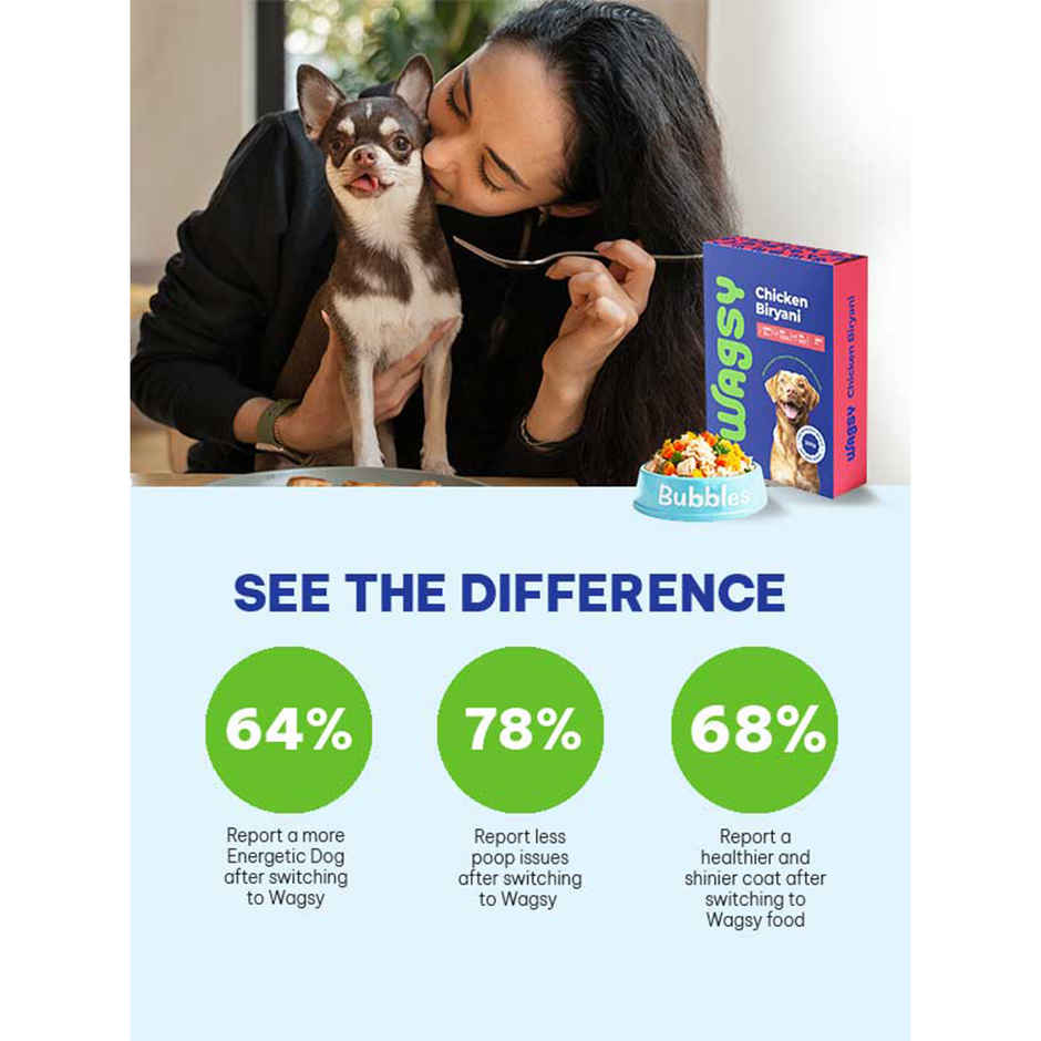 Wagsy - Chicken Biryani | Fresh Wet FOOD For Dogs