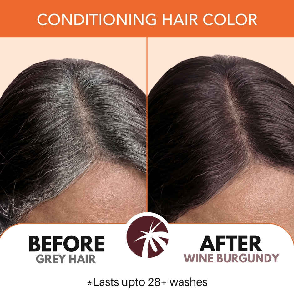 Paradyes Pure Creme Care No Ammonia Hair Color | Wine Burgundy 3.16