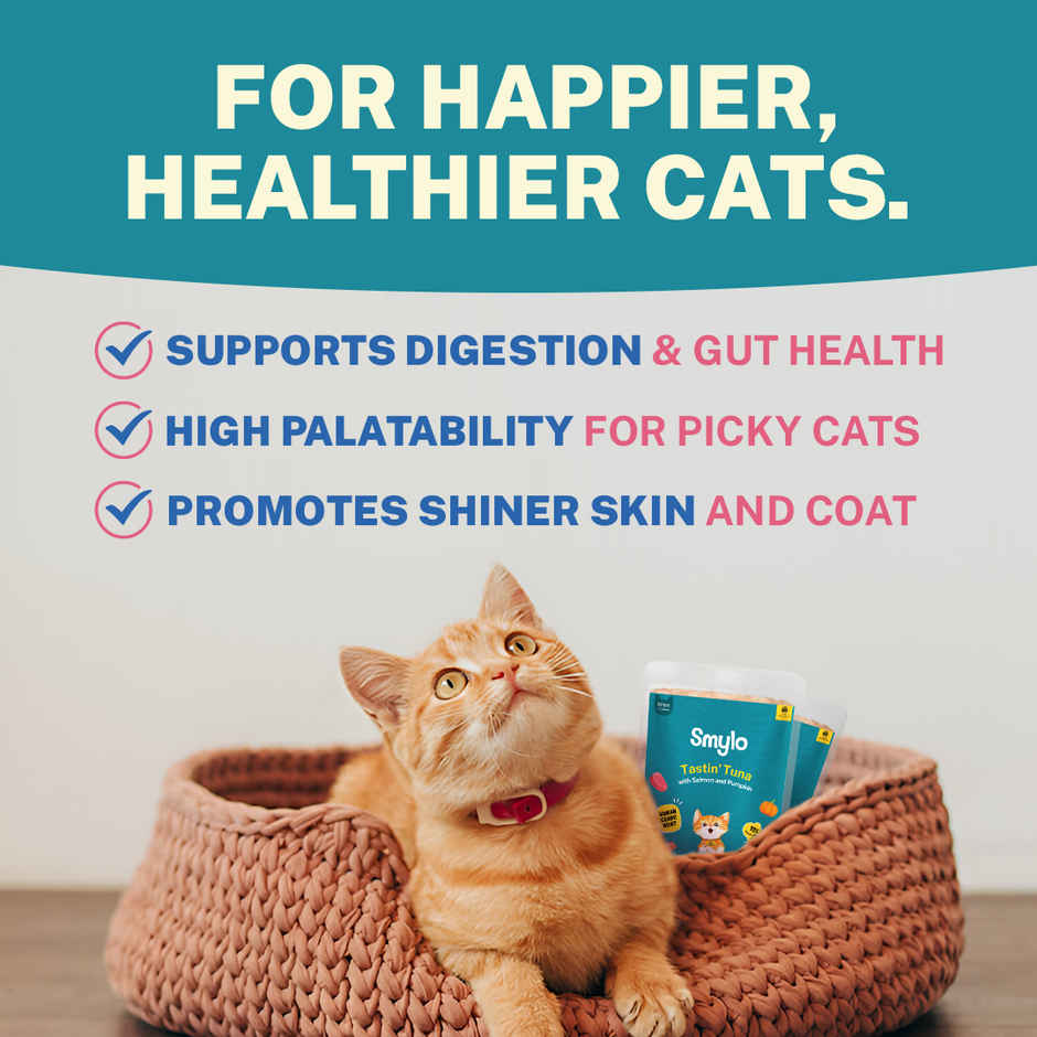 Smylo Kitten Tuna & Salmon Wet Cat  Food, Fresh & Preservative-Free, For Shiny Coat & Healthy Growth Combo
