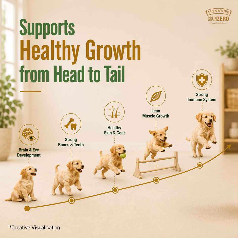 Signature Grain Zero Puppy and Mother Dry Dog Food | Real Chicken, Eggs, and Vegetables