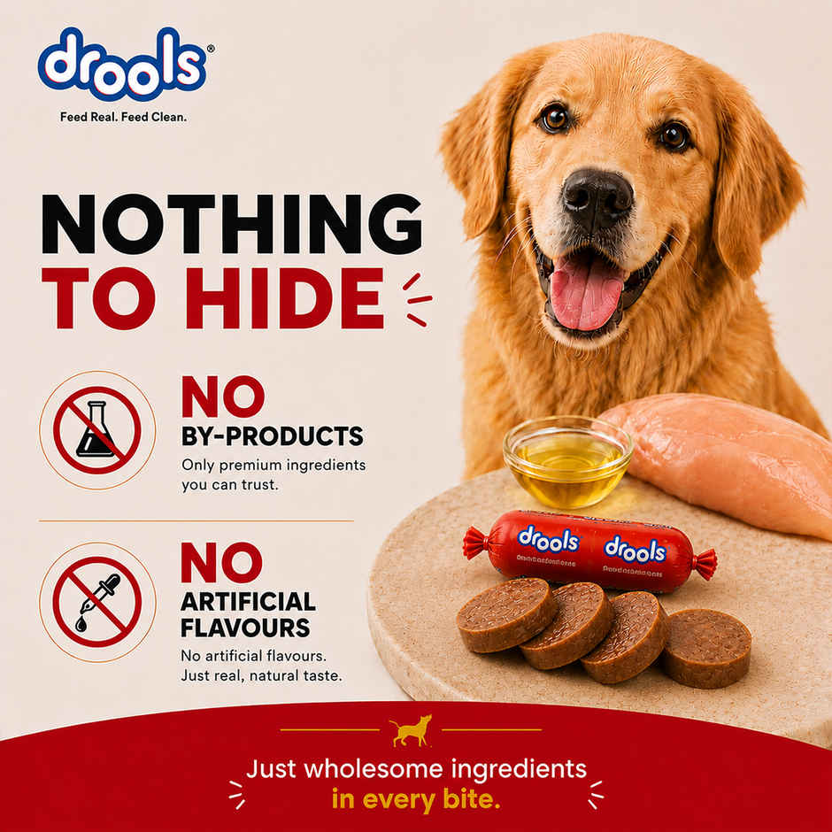 Drools 100% Real Chicken Sausage Treats for Dogs
