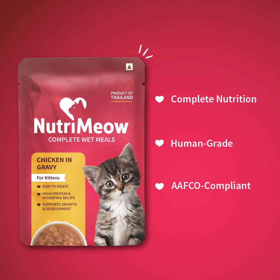 NutriMeow Chicken in Gravy Kitten Wet Food