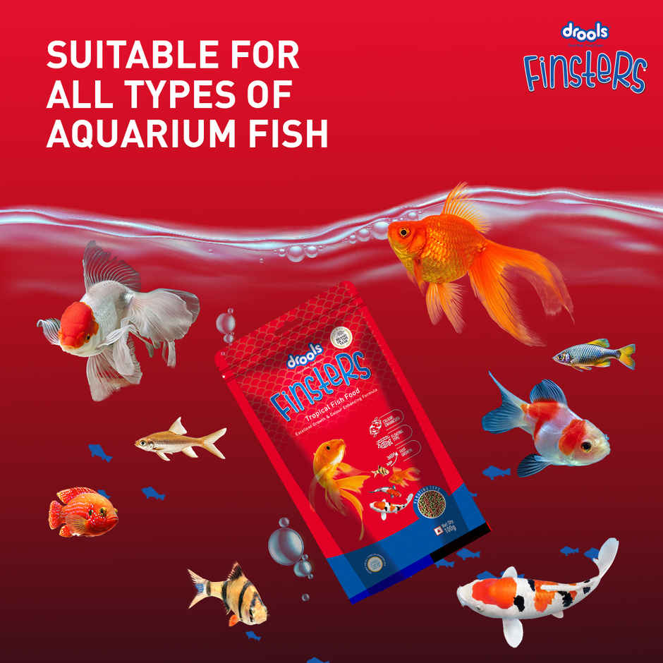 Drools Finsters Tropical Fish Food 1 mm