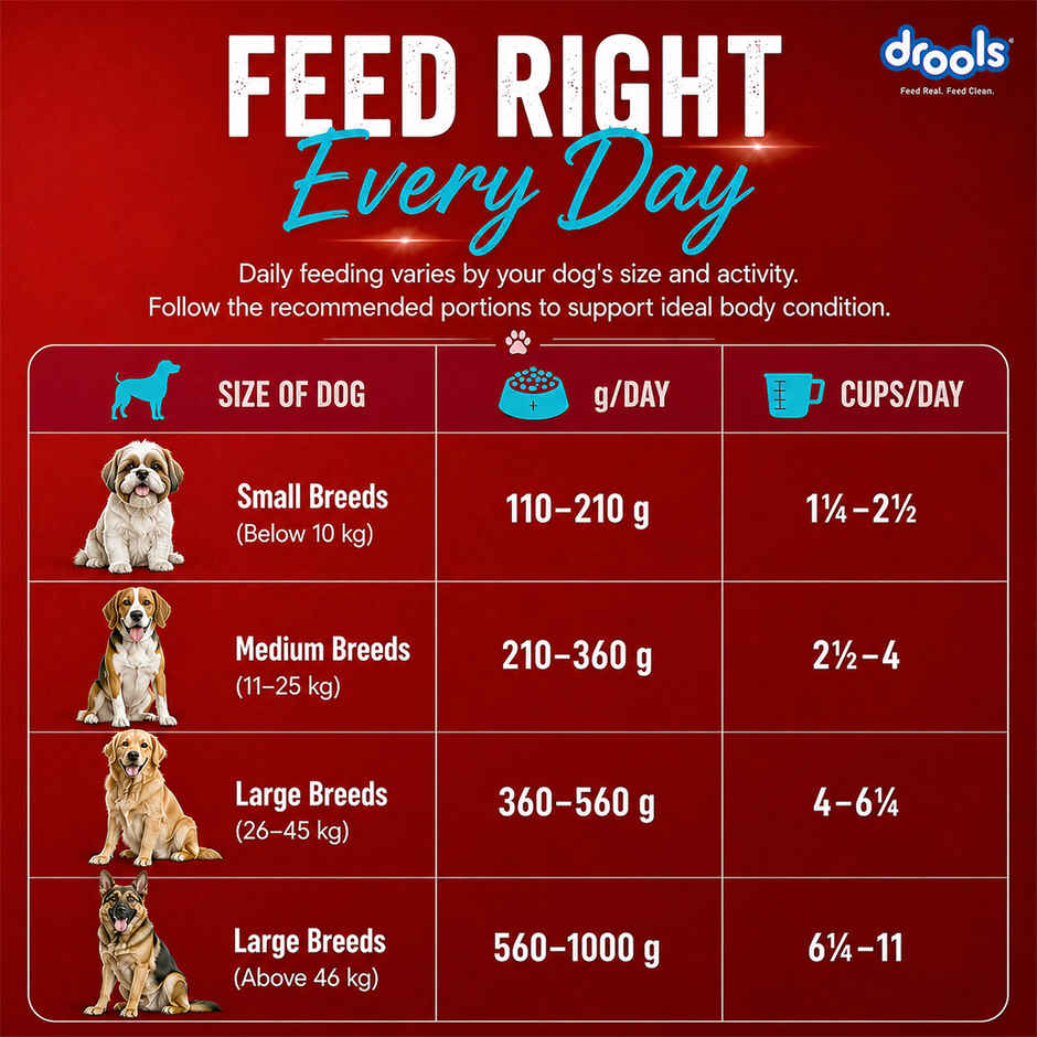 Drools Fish and Rice Adult Dry Dog Food 1 kg