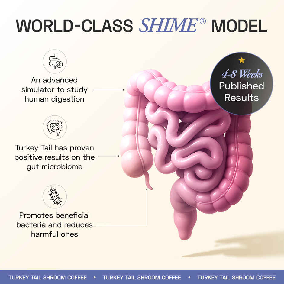 Ace Blend Turkey Tail Shroom Medium Roast Organic Coffee Premix