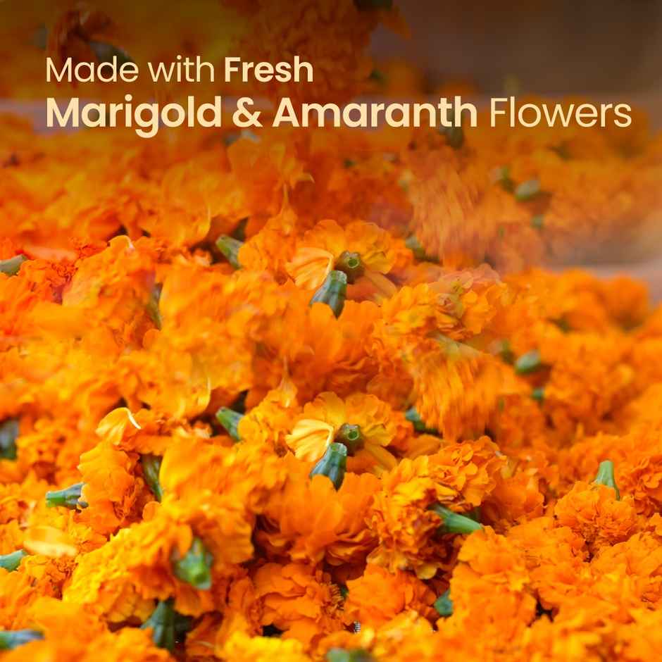 Nat Habit Natural Organic Holi Color Gulal Orange - Marigold Chhalak