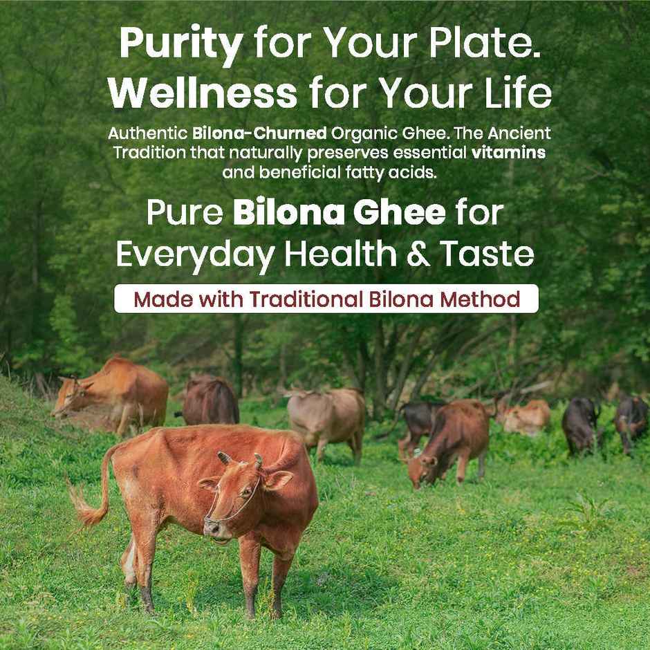 Sanjeevani Organics - Organic Bilona Ghee