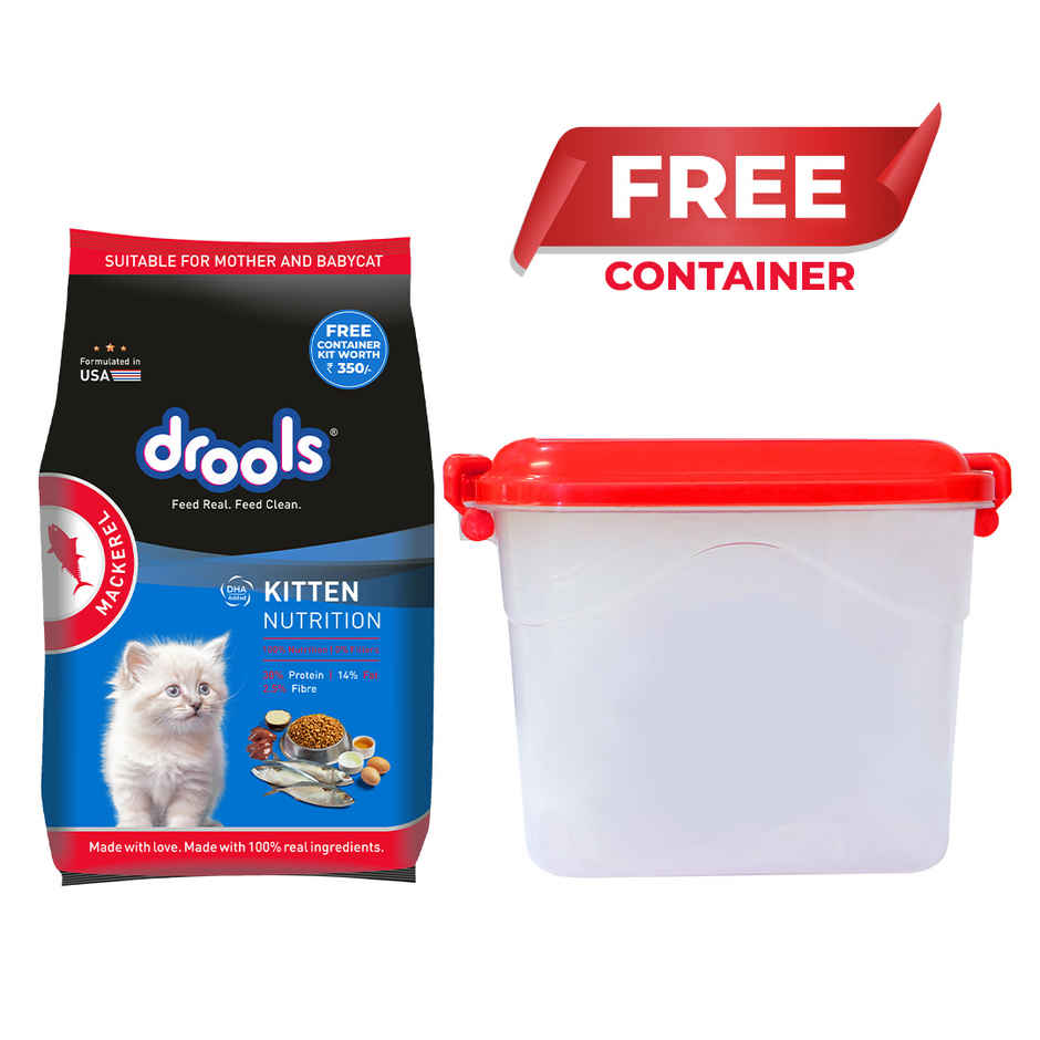 Drools Kitten (1-12 Months) Dry Cat Food, Mackerl, With Free Container