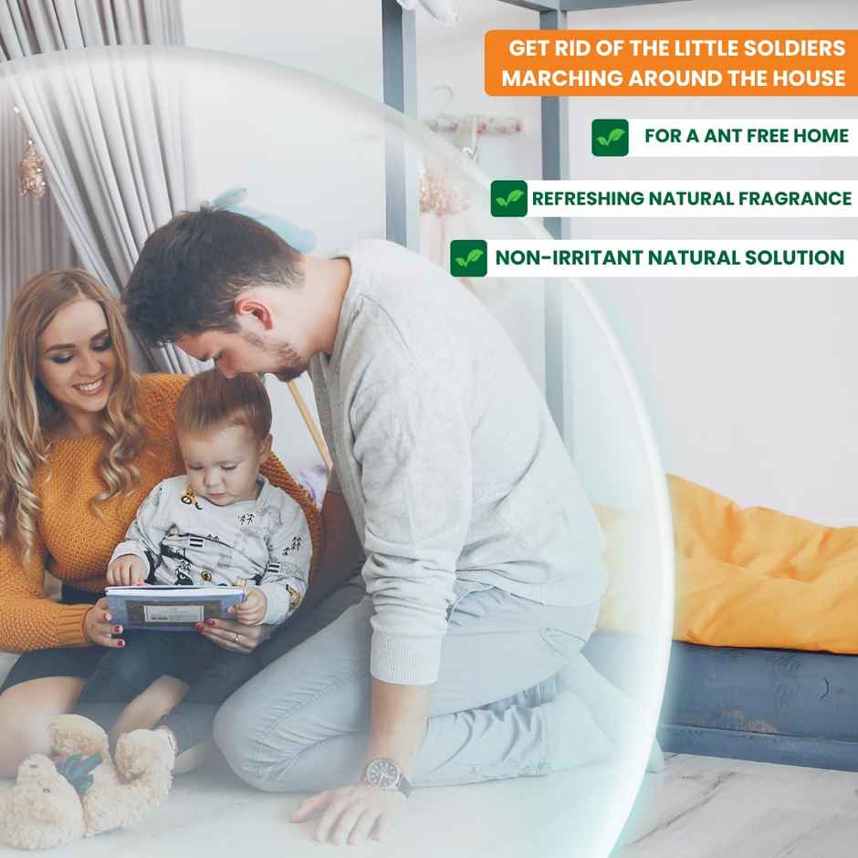 Herbal Strategi Ant Repellent