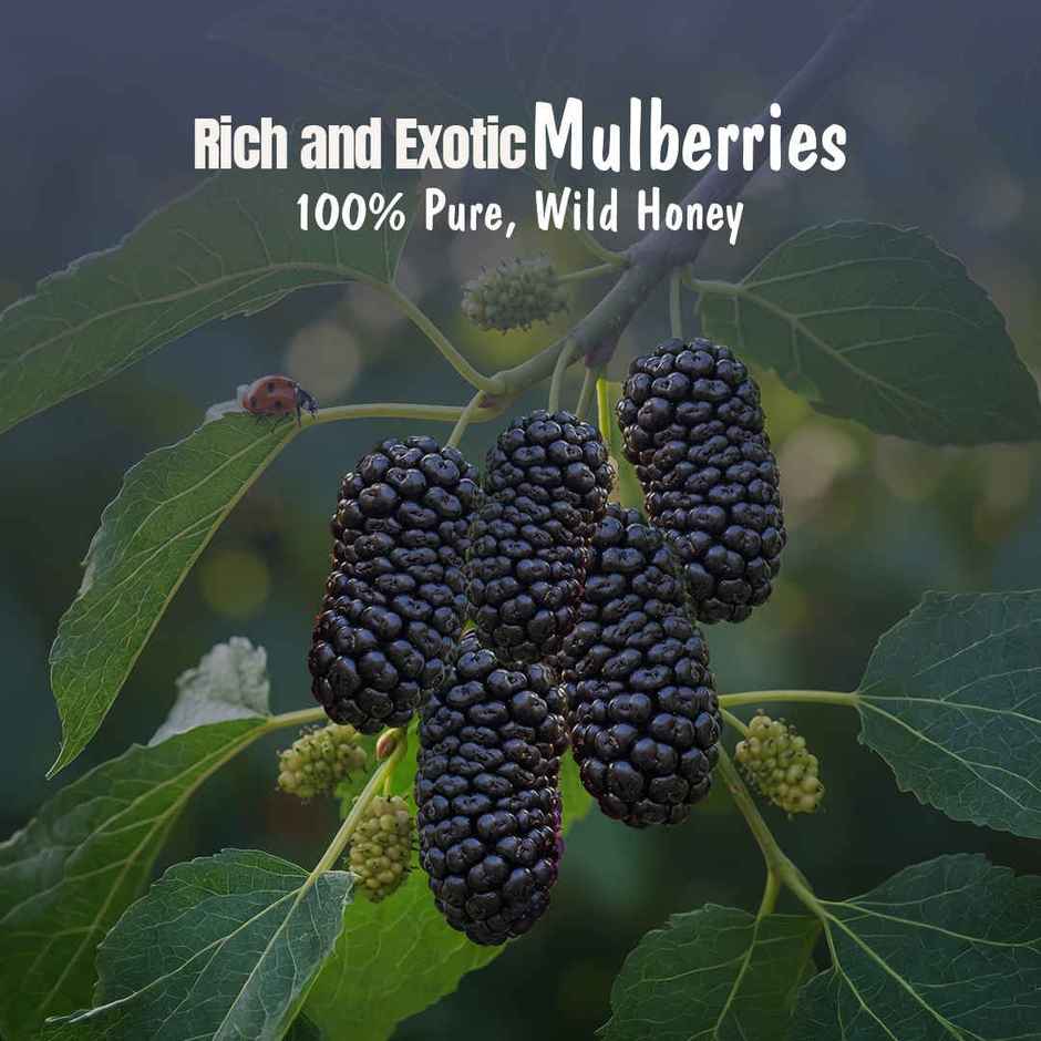 Eatopia Healthy Mulberry Honey Jam (No Refined Sugar & Preservatives )