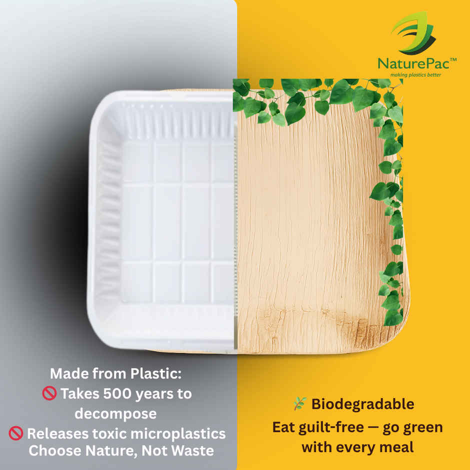 Square Areca Plate | 8 inch | Disposable and Handy | Naturepac