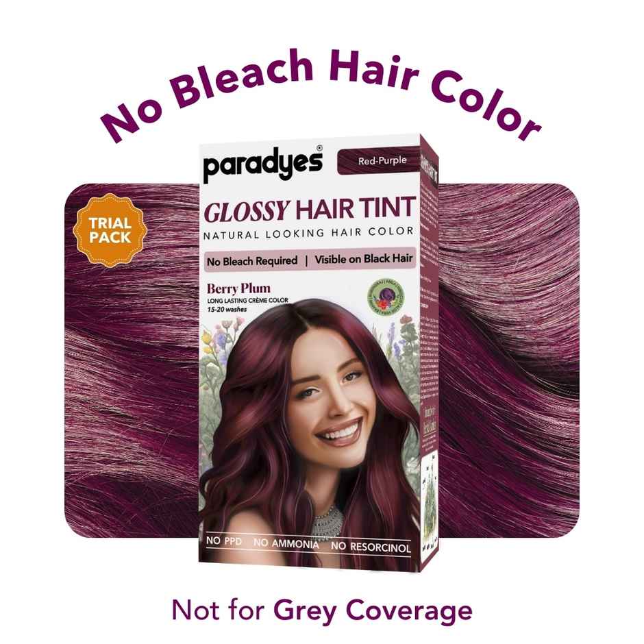 Paradyes Mini No Bleach Berry Plum Glossy Hair Tint, Ammonia|free Hair Color for Natural Black Hair