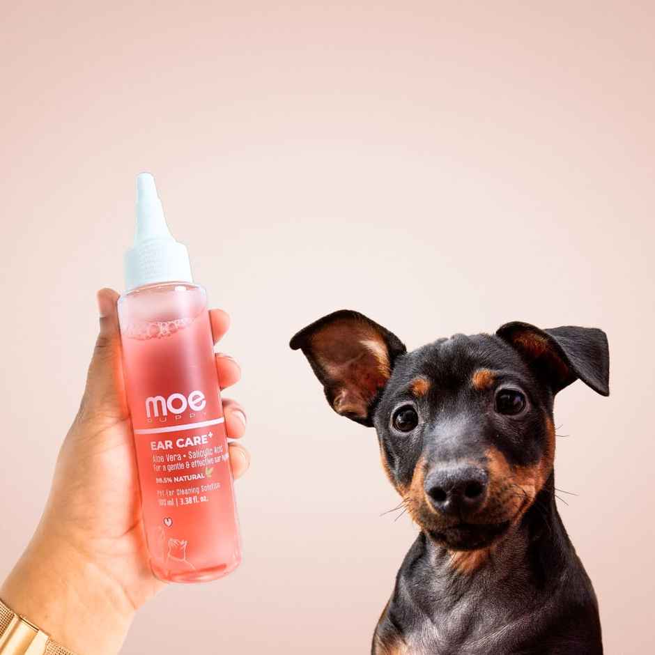 Moe Puppy Ear Care