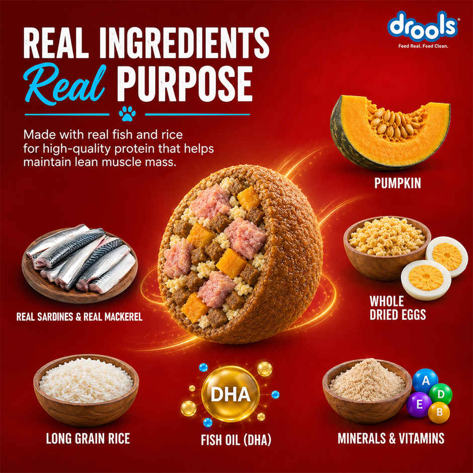 Drools Fish and Rice Adult Dry Dog Food 1 kg