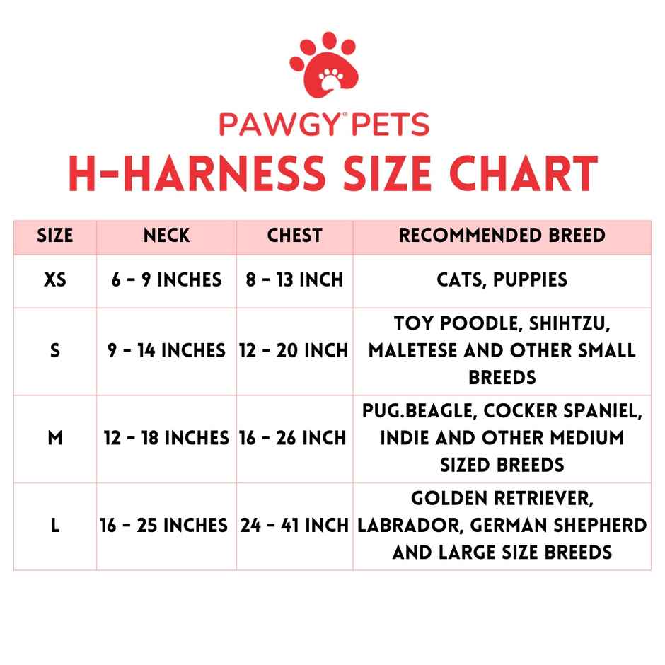 Pawgy Pets H-Harness Mickey Pastel Green For Dogs And Cats | L