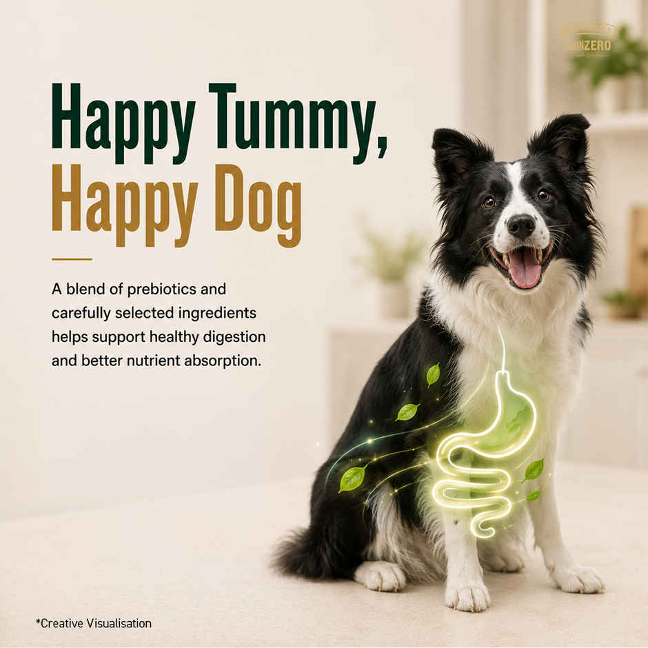 Signature Grain Zero Adult Dry Dog Food | Real Chicken, Eggs, and Vegetables