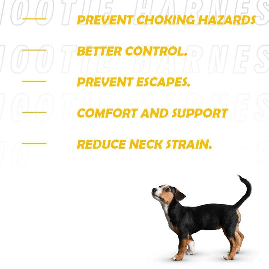 Nootie Premium Plush Padded Harness Black Color | 20 Mm - M - For Medium Dogs And Young Puppies