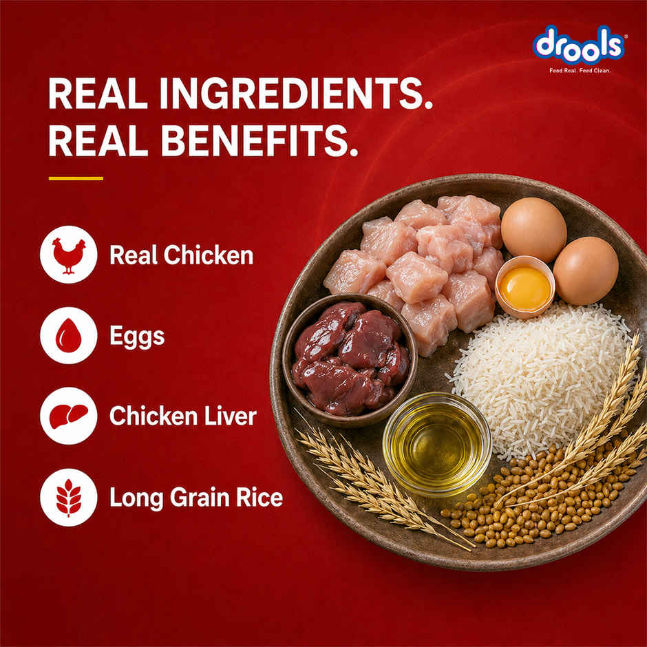 Drools Chicken and Egg Puppy Dry Dog Food, 1.2kg