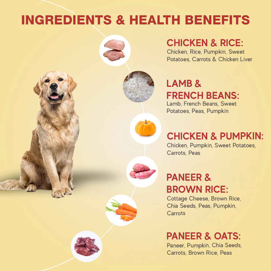 Benny's Bowl Fresh & Wet Dog Food - Trial Pack