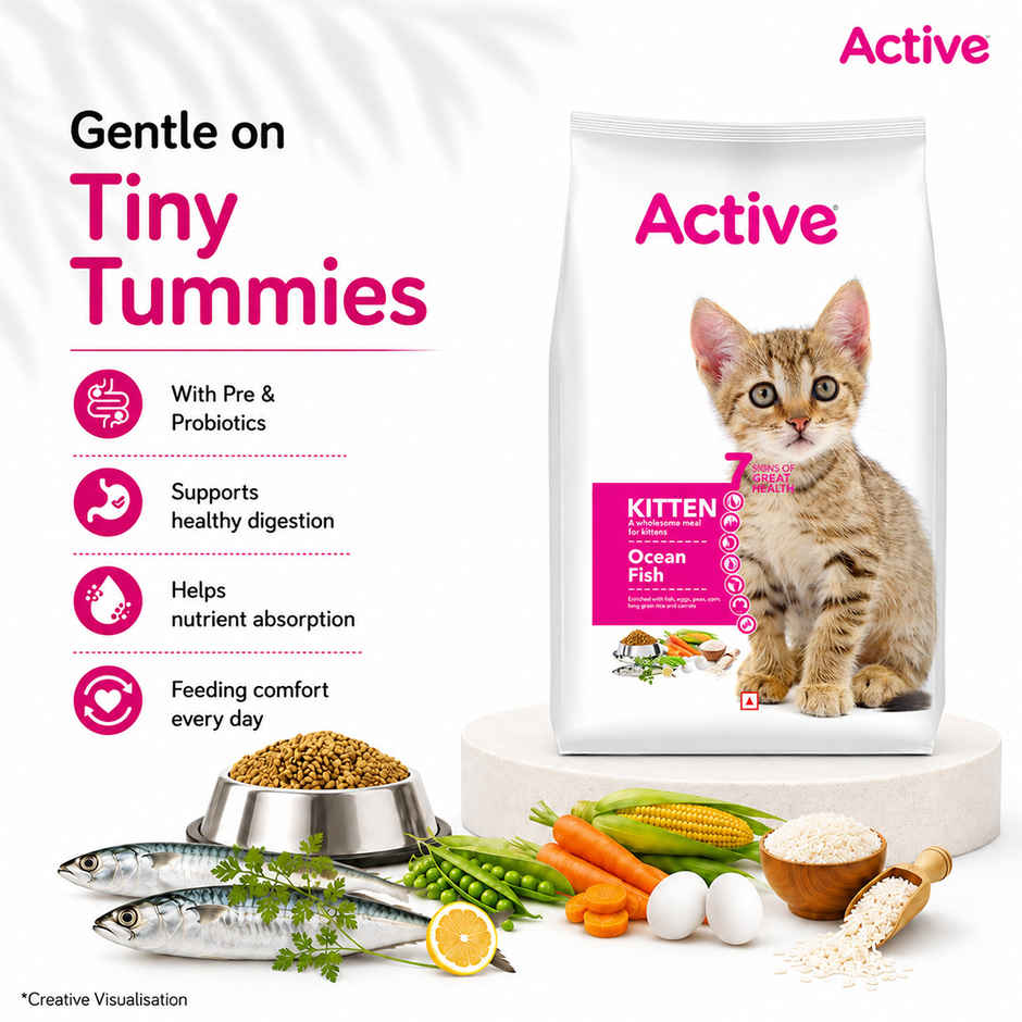 Active Ocean Fish Dry Kitten Cat Food | Buy 1 Get 1 Free
