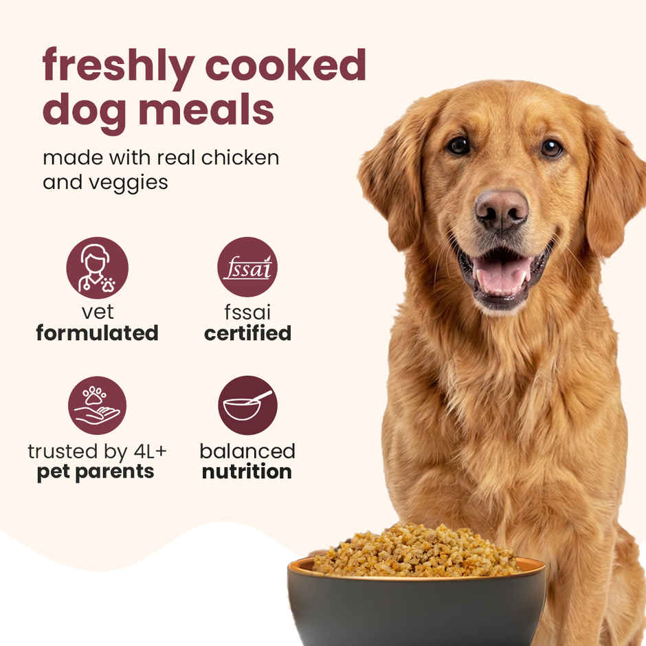 Nibblr By Nootie Fresh Chicken Biryani Wholesome Meal | Chicken Liver & Rice Dog Wet Food 300gm