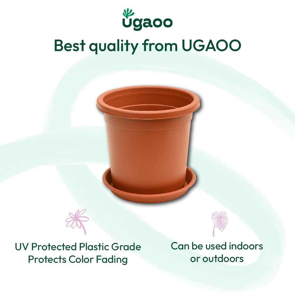 Ugaoo UV Treated Gardening Plastic Tray Plate | Saucer Pots - 8 in | Brown | Terracotta | Set of 6