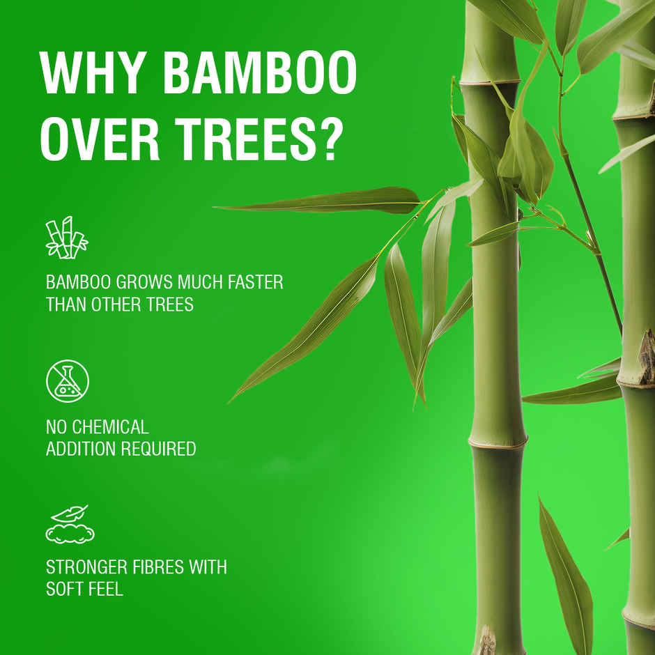 BECO 2 Ply Bamboo Kitchen Towel | 60 Pulls | Pack of 2 Combo