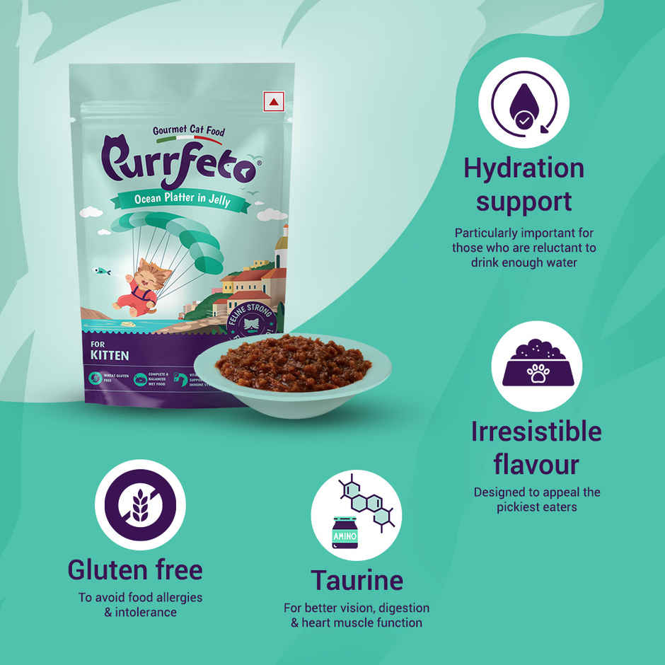 Purrfeto Wet Cat food Oceanfish recipe in Jelly | Kitten | Pack of 12