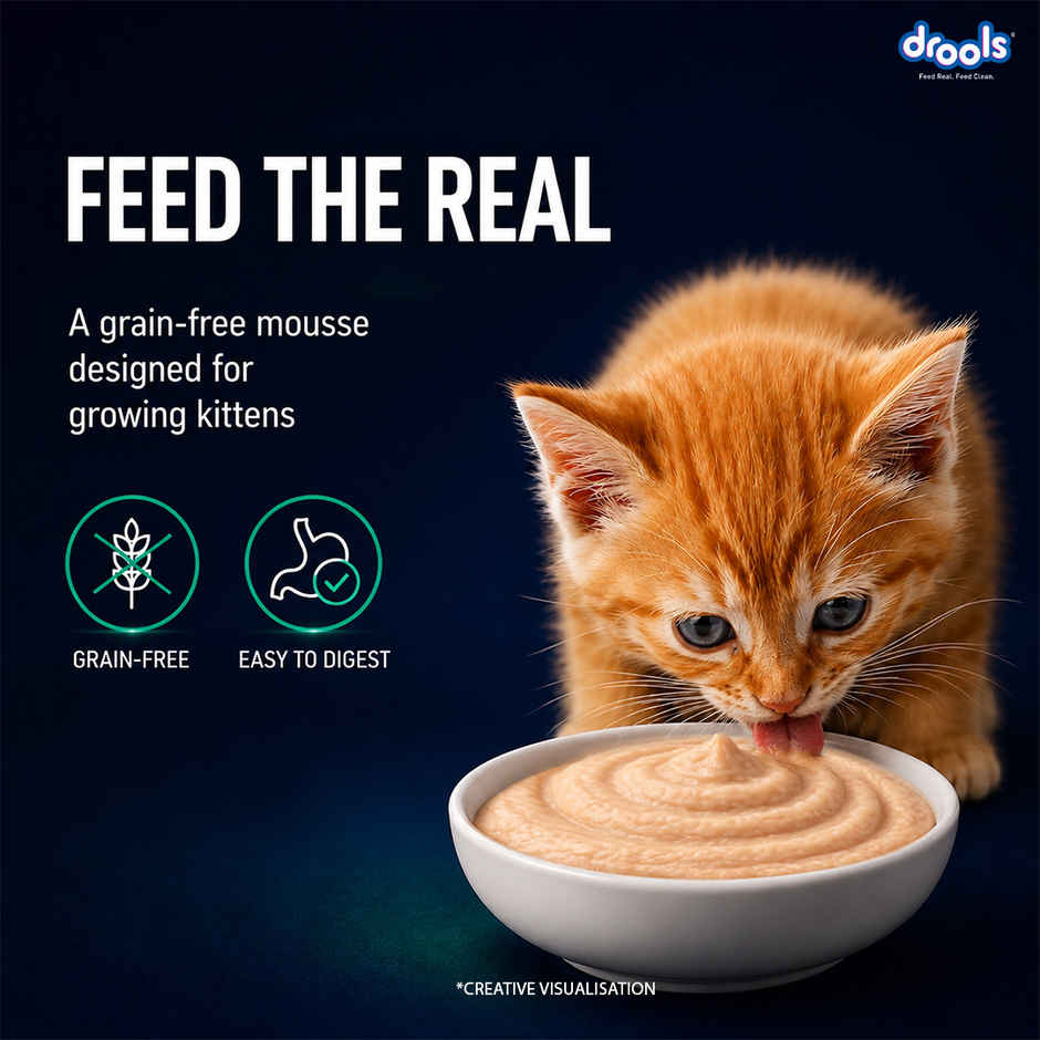 Drools Tuna Mousse Kitten Wet Cat Food, 80g (4+1 Pack Free)