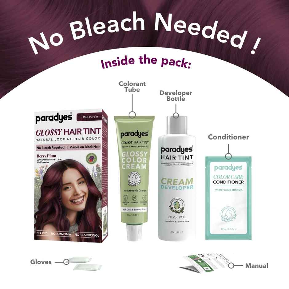 Paradyes Mini No Bleach Berry Plum Glossy Hair Tint, Ammonia|free Hair Color for Natural Black Hair
