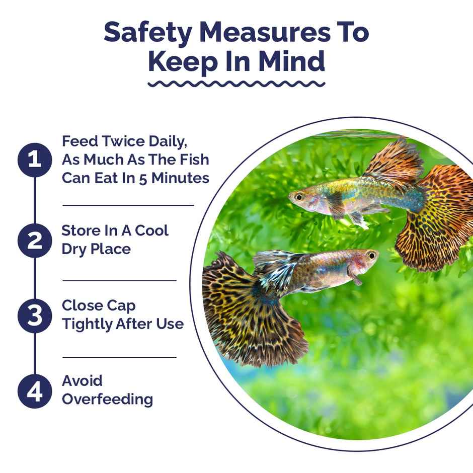 Intan Guppy Pellets - Fish FOOD for Guppies - Small Surface Eating Fish - Floating