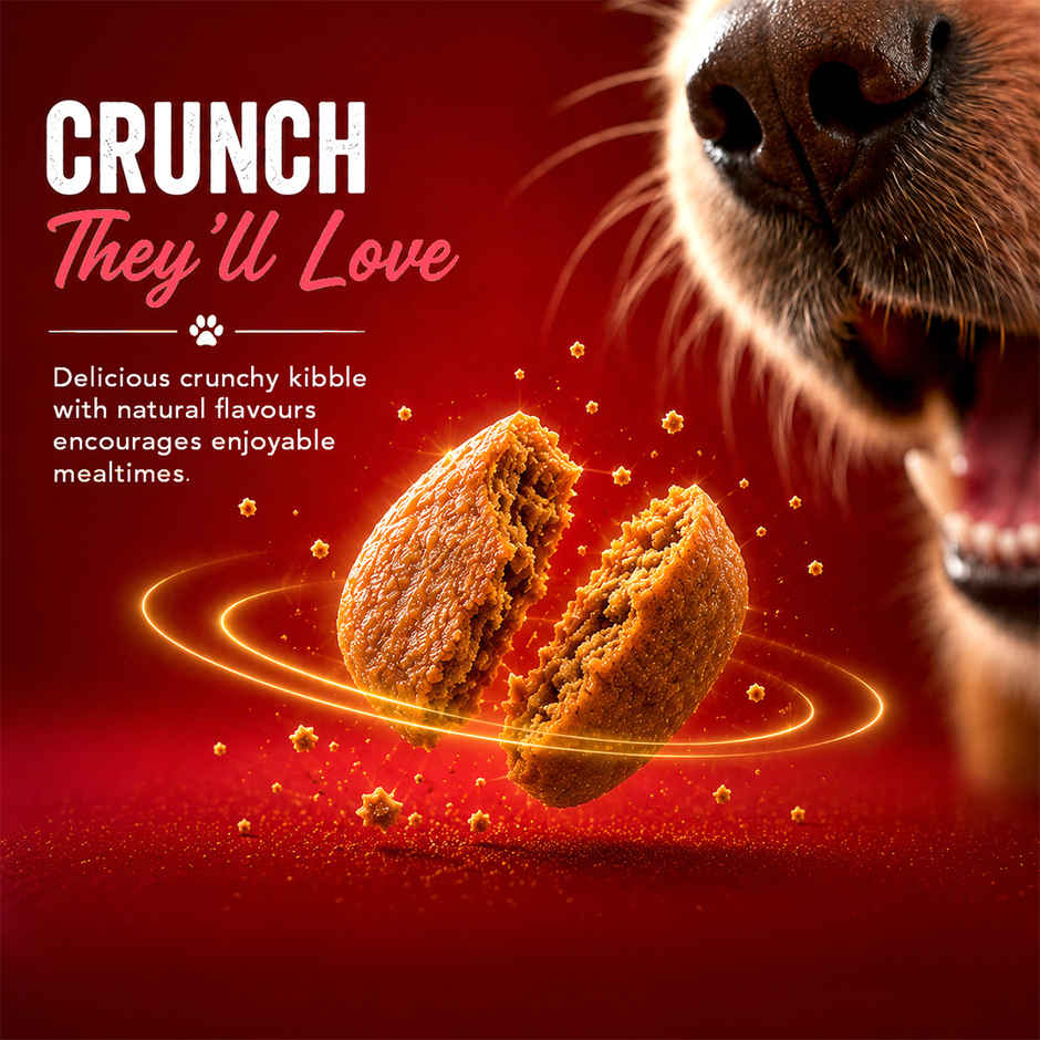 Drools Lamb and Rice Adult Dry Dog Food 1 kg
